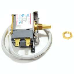 [RPW24861] GE Thermostat WR50X10085