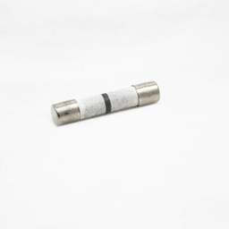 [RPW1036801] Samsung Microwave Slow-Blow Ceramic Fuse 3601-001198